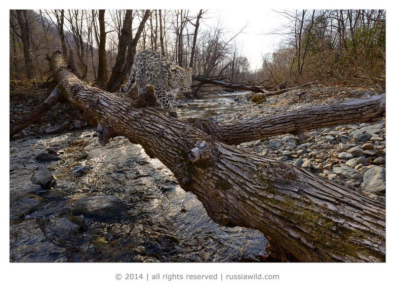 Переход через Кедровкуphoto preview