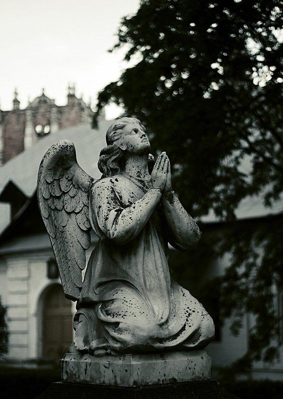 - фото превью