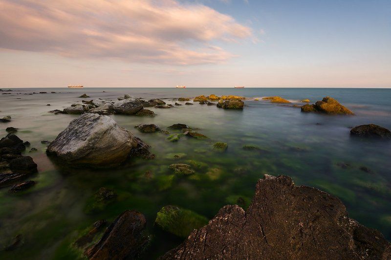 Фичозаphoto preview