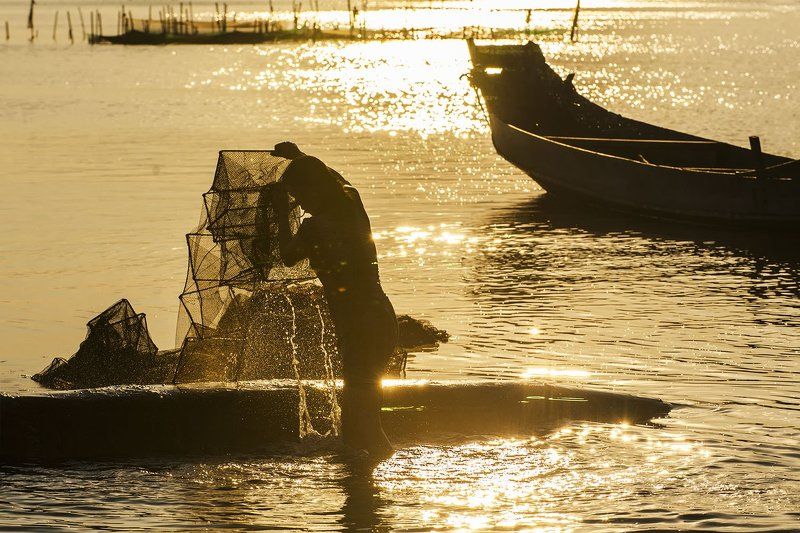 Giặt lưới !photo preview