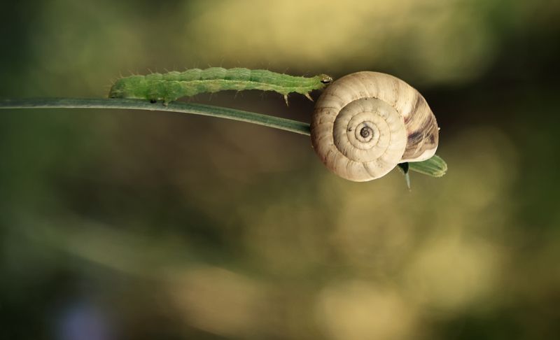 Гравитацияphoto preview