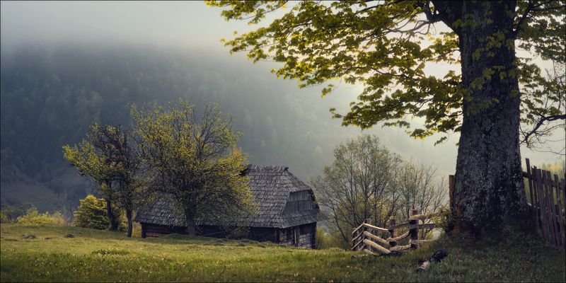 NOSTALGYphoto preview