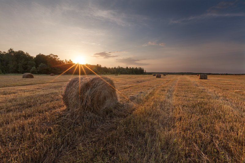 Сенные заготовкиphoto preview