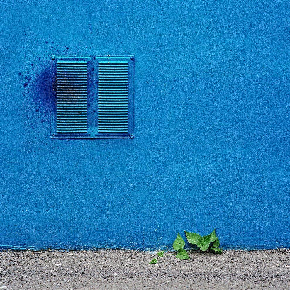 , Сидоренко Алексей