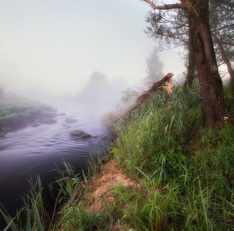 Утренняя сказка.photo preview