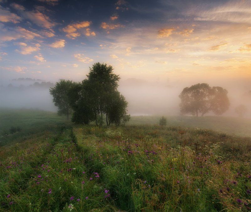 Туманами.photo preview