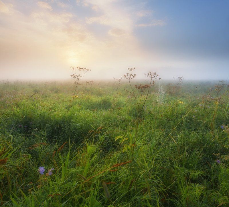 Про паутинку.photo preview