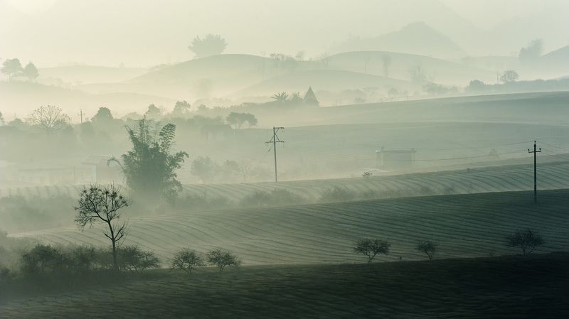 Ban mai Mộc Châuphoto preview