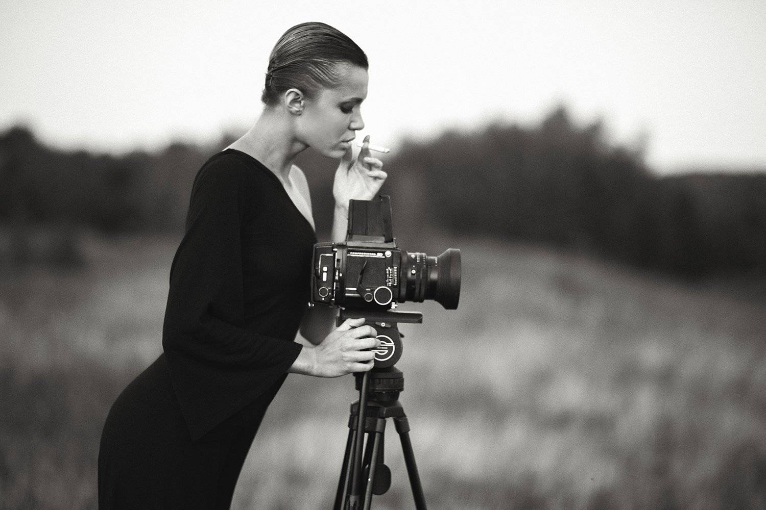 , Степан Каморный