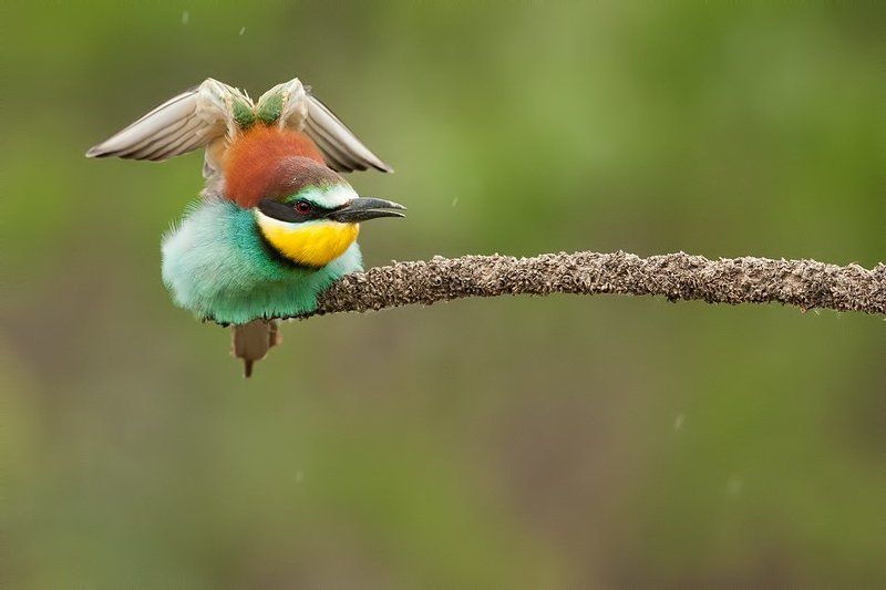 С  зонтикомphoto preview