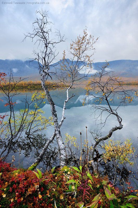 Поэзия утренних Хибинphoto preview