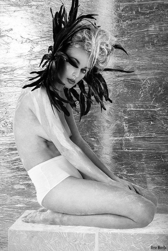 the Crowphoto preview