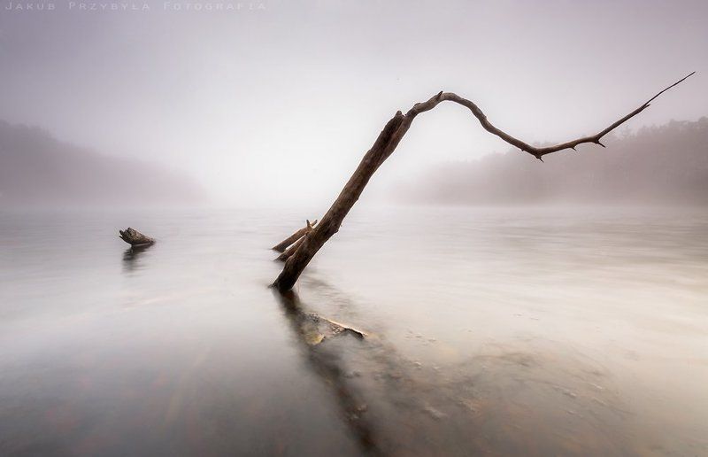 Fog, Jakub przybyla, Lake Boughphoto preview