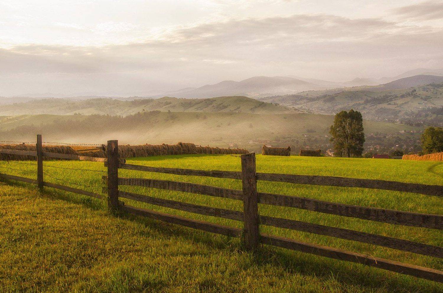 Солнечное утро. Автор: Иван Ф. Забор, Пейзаж, Утро, Иван Ф.