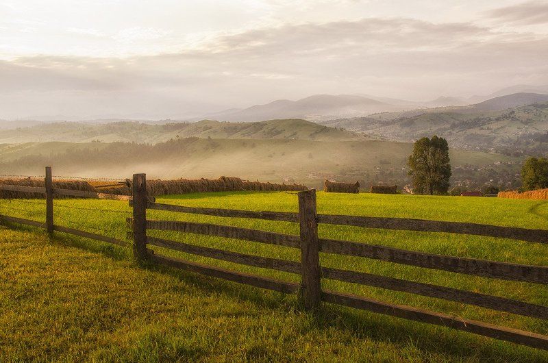 Забор, Пейзаж, Утро Солнечное утроphoto preview