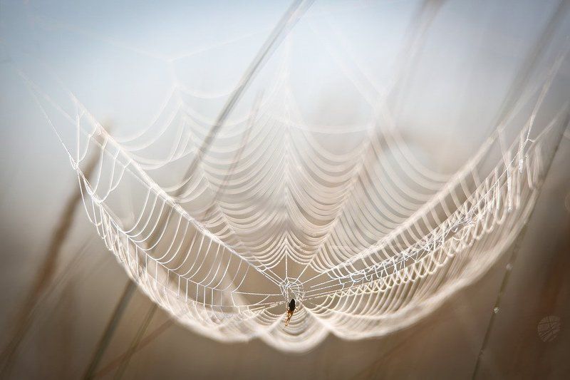 Тишина.photo preview