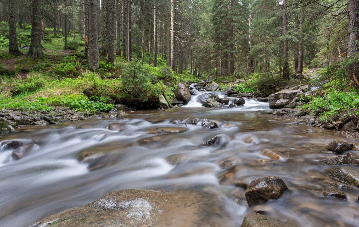 , Алексей Пупышев