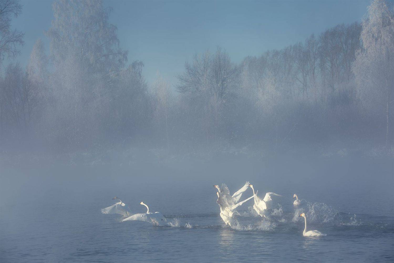 , Вадим Кононенко