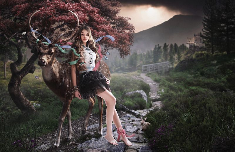 Princess of Norwayphoto preview