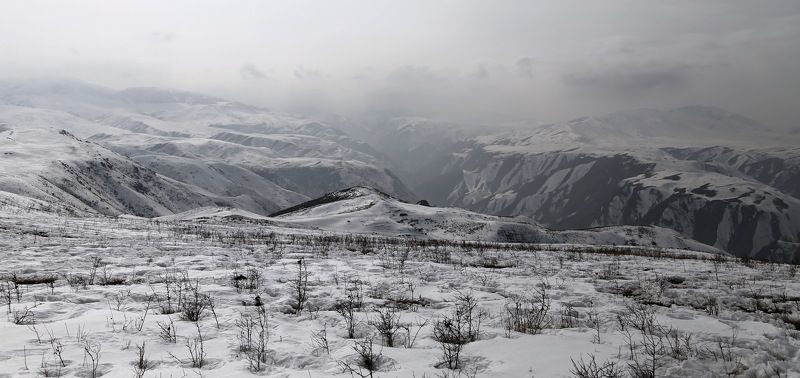 УШКАНЫРphoto preview