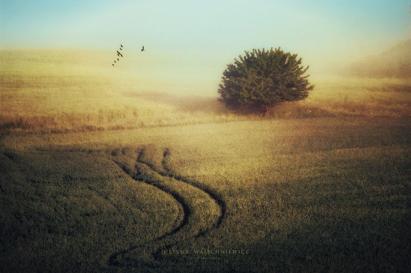 STOP WAR !!!photo preview