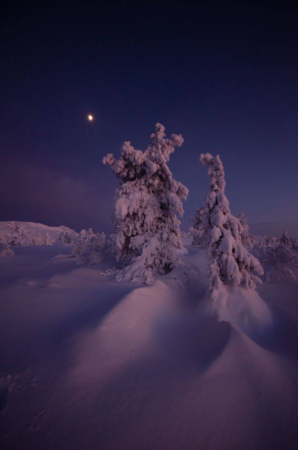 Кандалакша. Автор: Абрамов Денис , Абрамов Денис