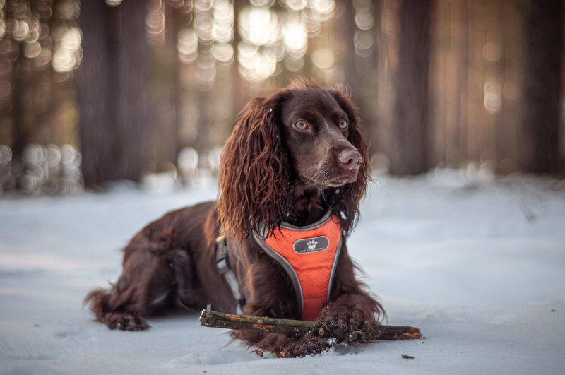 Айтиphoto preview