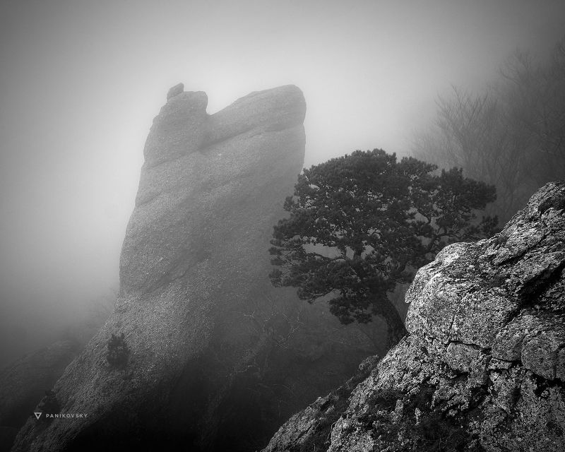 демерджи, туман, скалы, крым, алушта Призрачный городphoto preview