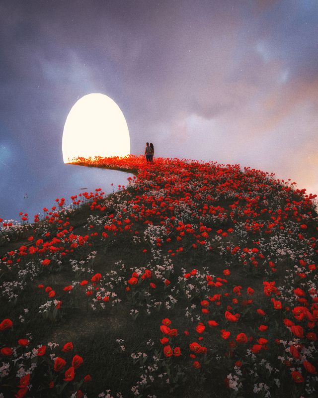 Togetherphoto preview