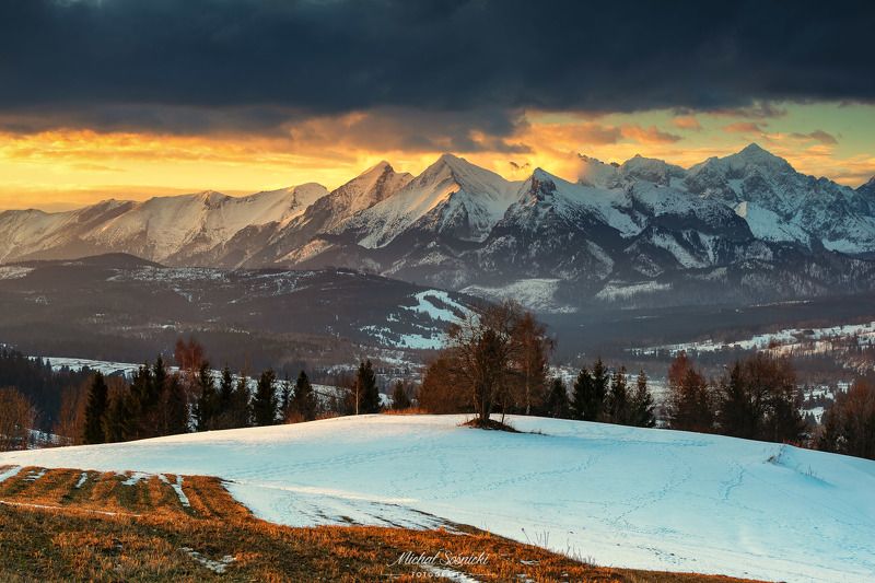 #tree #winter #sunset #sky #wood #nature #amazing #earth #pics #photo #best #poland #pentax #benro #haida Tree in heaven...photo preview