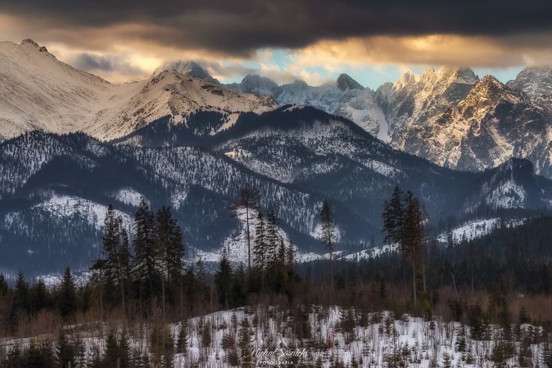 #poland #pentax #benro #lightroom #nikcollection #nature #sunrise #mountains #sky #fog #foggy #morning #pix #trees #sun #forest Tatras...photo preview