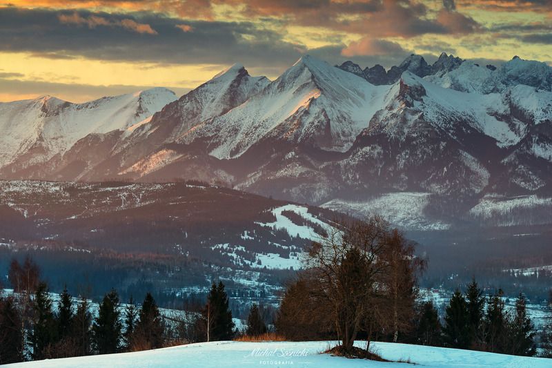 #tree #winter #sunset #sky #wood #nature #amazing #earth #pics #photo #best #poland #pentax #benro #haida Tree...photo preview