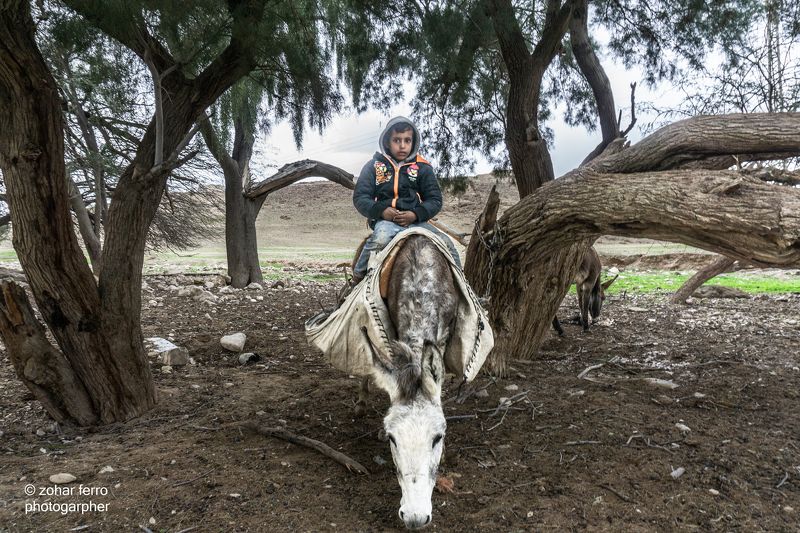The Bedouin Child Projectphoto preview