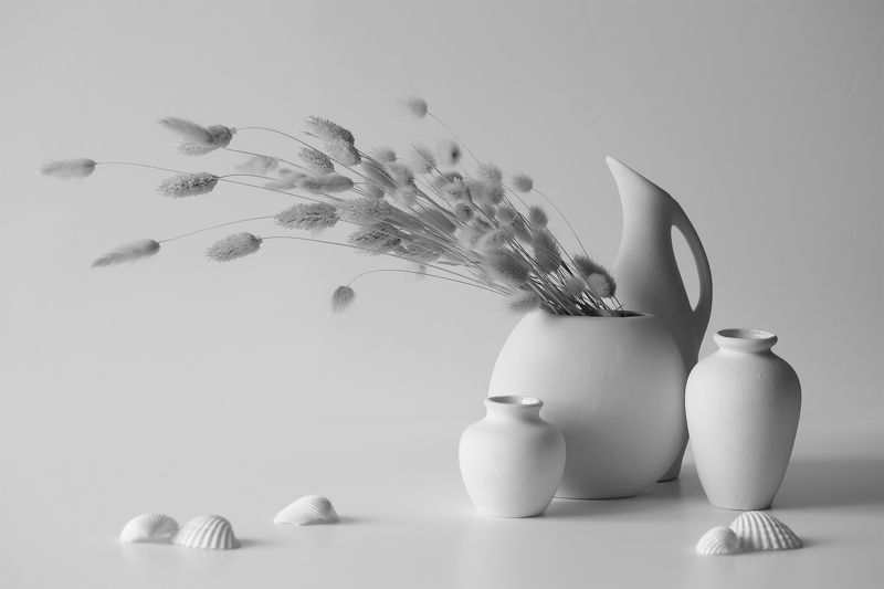 миламиронова, фотонатюрморт, натюрморт, stilllife, сухоцвет, керамика, ваза, ракушка ***photo preview
