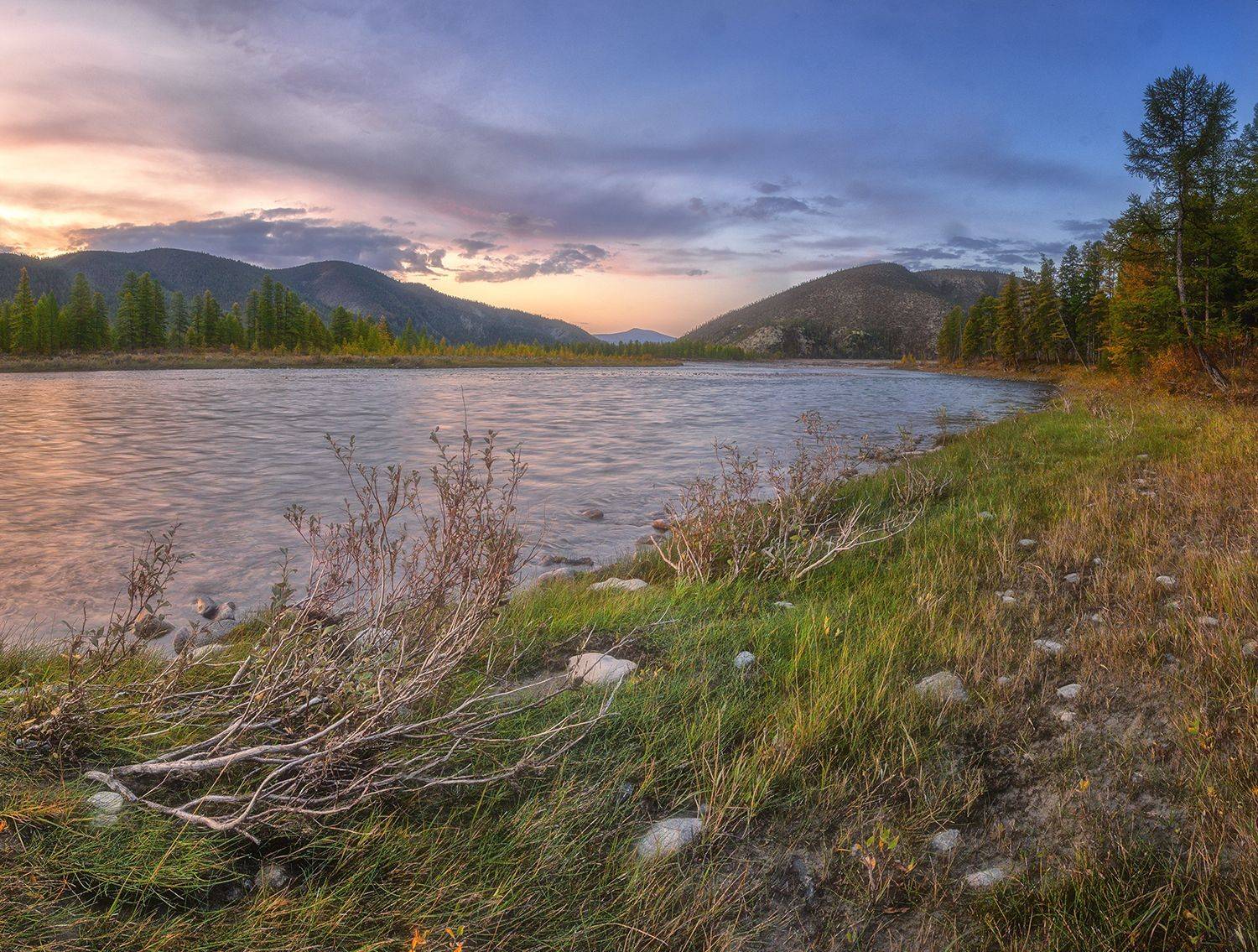 Автор: Николай Андреев , Николай Андреев