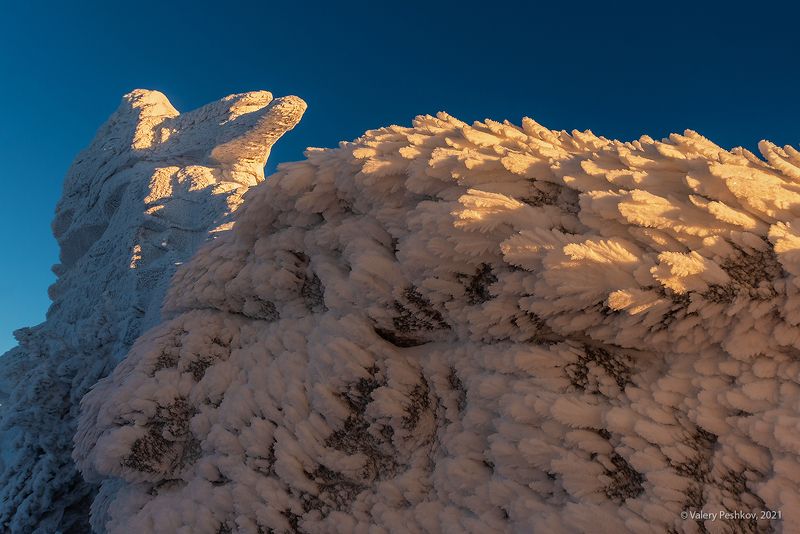 красочный, рассвет, скалы верблюды, кедры, пихты, снег, иней, сугробы, зима, гора курган, шерегеш, горная шория, сибирь Pro «Верблюды» крупным планом фото превью