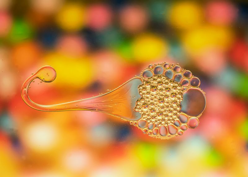 abstract,liquid,art,photography,drop,color,oil,light liquid jewelphoto preview