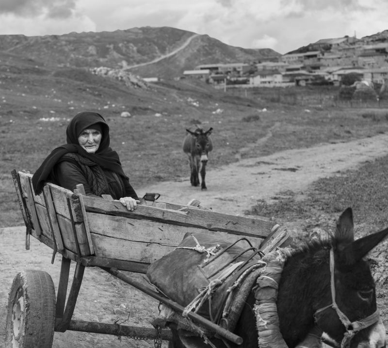 дагестан, балхар, кавказ, село, аул, горы, горцы, люди, быт, традиция, портрет, лицо, глаза, взгляд, повозка, телега, транспорт, дорога, путешествие, тропа, животные Повозкаphoto preview