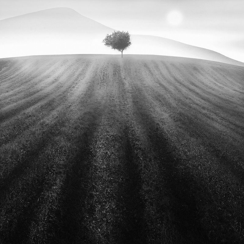 Scratchedphoto preview