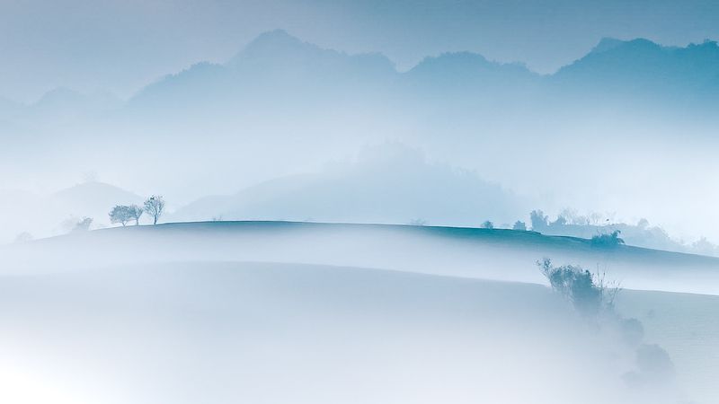 Moc Chau tea hillphoto preview