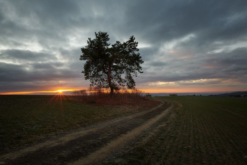 Sunrisephoto preview