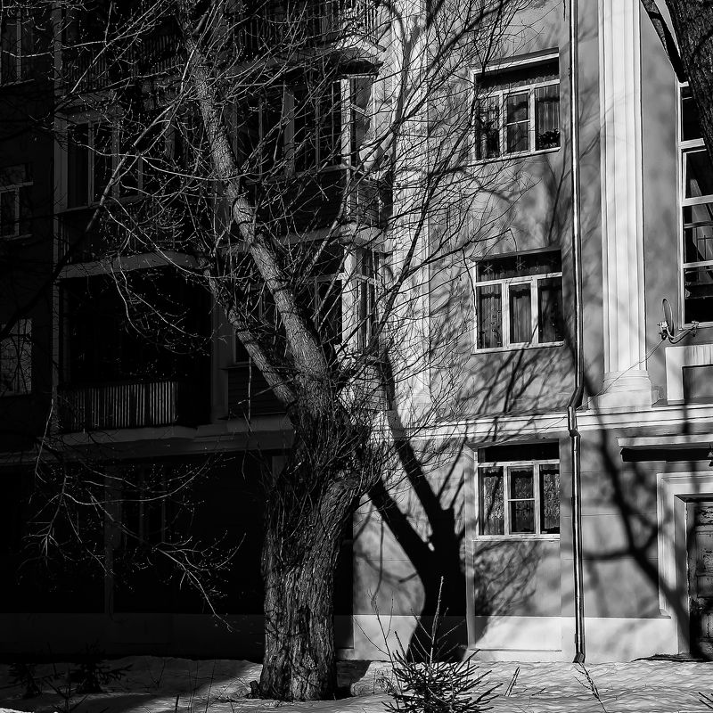 теньphoto preview