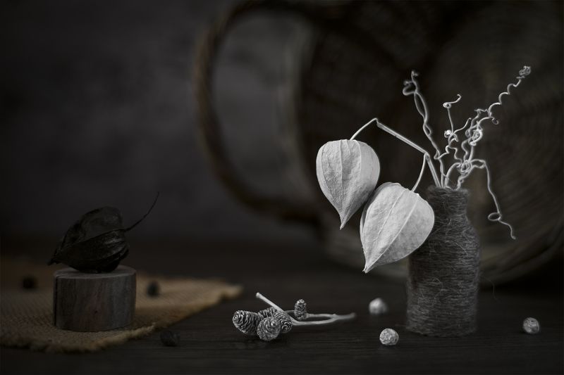 физалис, натюрморт ***photo preview