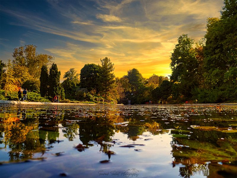 Golden Timephoto preview