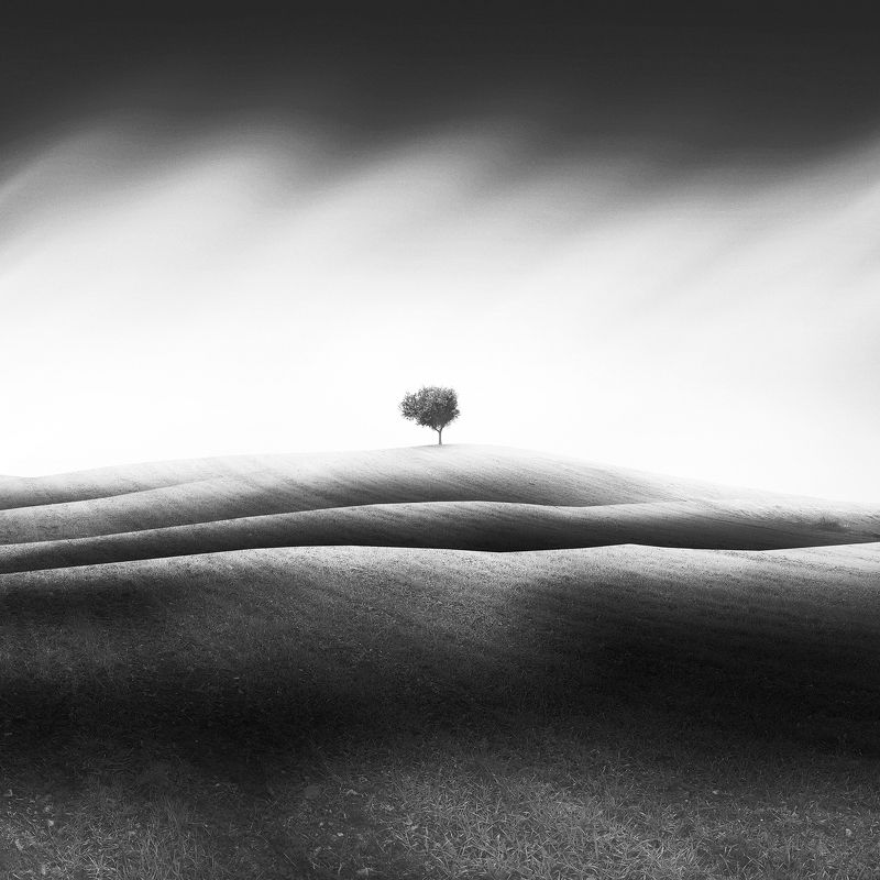 Beyond the Hillsphoto preview