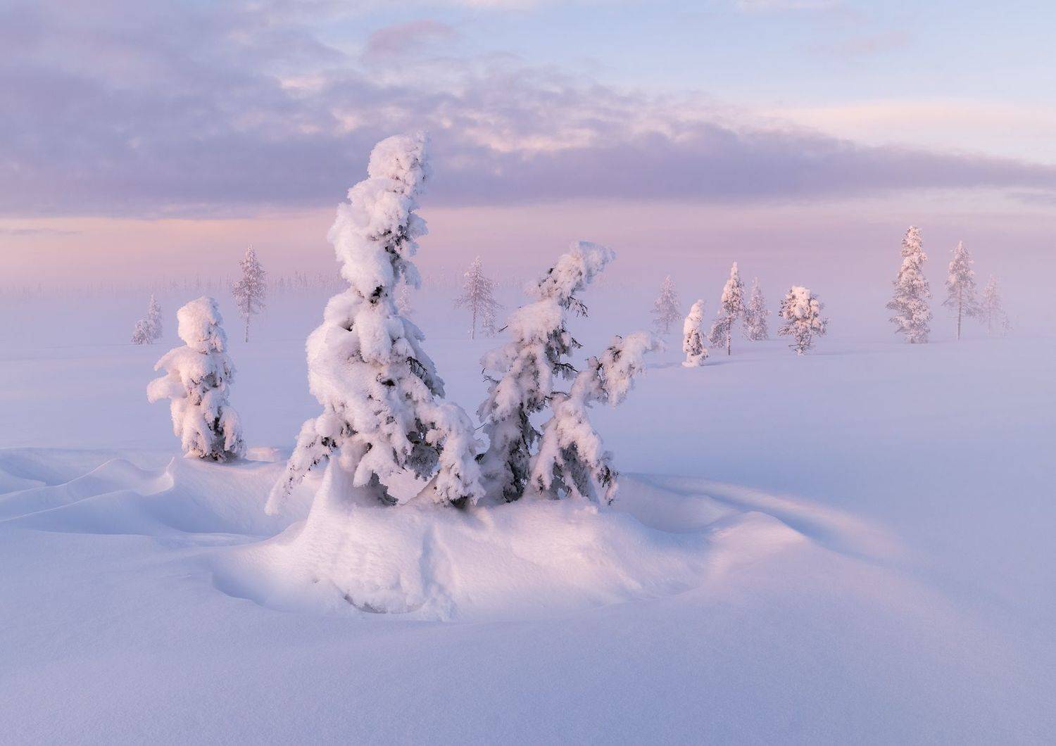 кольский полуостров, мурманская область, россия, пейзаж, природа, закат, север, заполярье, kola peninsula, murmansk region, russia, landscape, nature, sunset, north, Алексей Королёв
