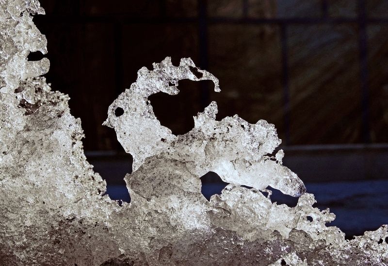 pareidolia ***photo preview