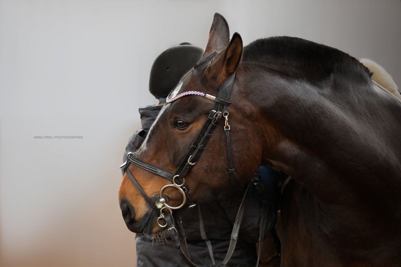 Make Love ❤️ - Not Warphoto preview