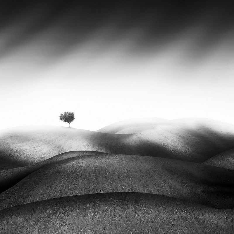 Beyond the Hillsphoto preview