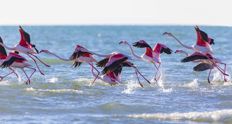 Танцы в водеphoto preview